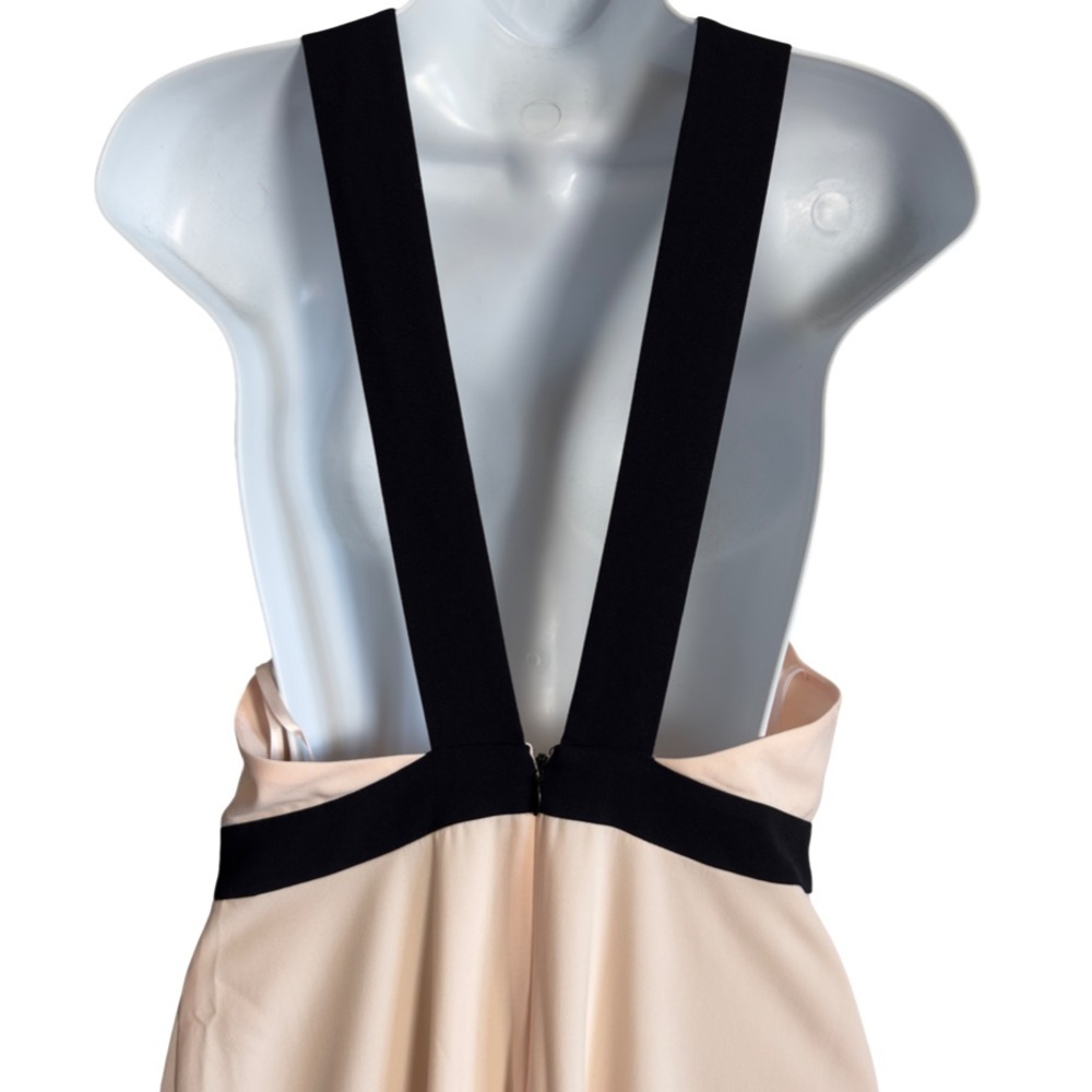 Jill Stuart Cream Blush and Black Halter Maxi Gown Size 4 - Picture 6 of 9